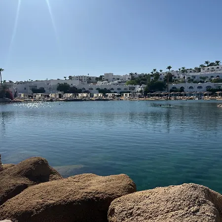 Red Sea Oasis Luxury Apartment