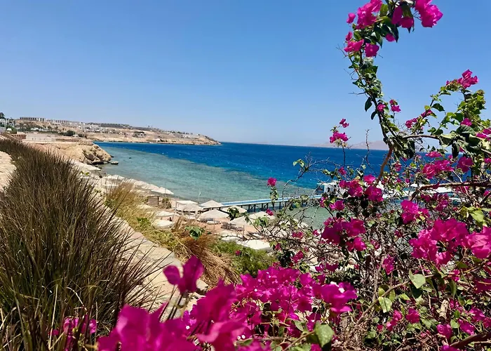 Red Sea Oasis Luxury Resort Şarm El-Şeyh