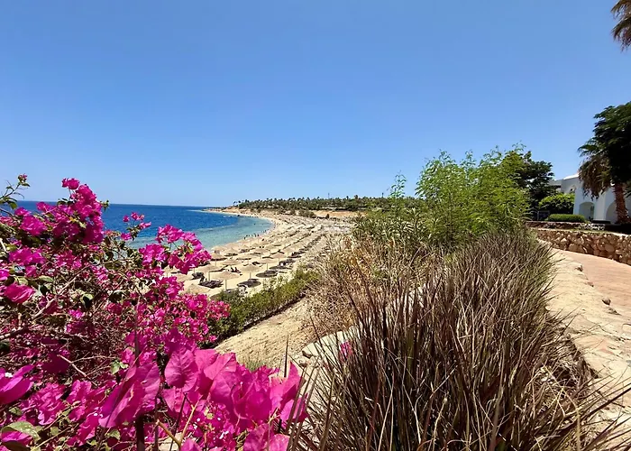 Red Sea Oasis Luxury