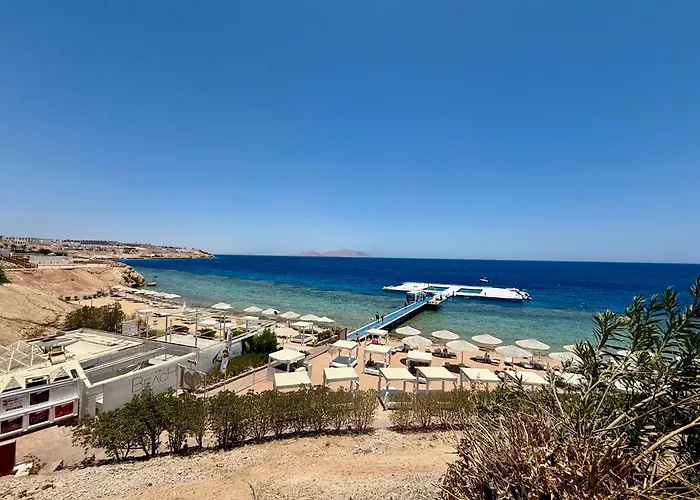 Resort Red Sea Oasis Luxury *