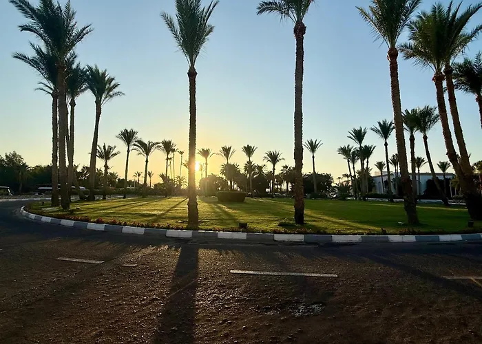 Red Sea Oasis Luxury