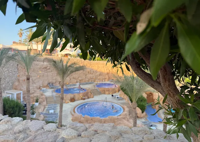 Resort Red Sea Oasis Luxury