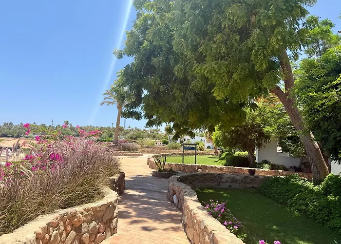 Red Sea Oasis Luxury Resort Şarm El-Şeyh