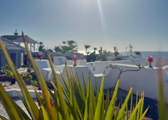 Red Sea Oasis Luxury *