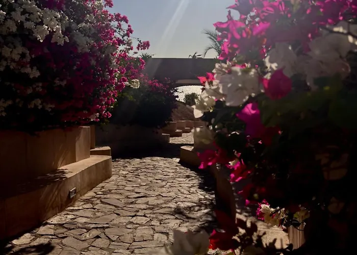 Red Sea Oasis Luxury