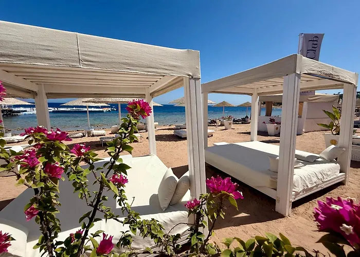Resort Red Sea Oasis Luxury Şarm El-Şeyh