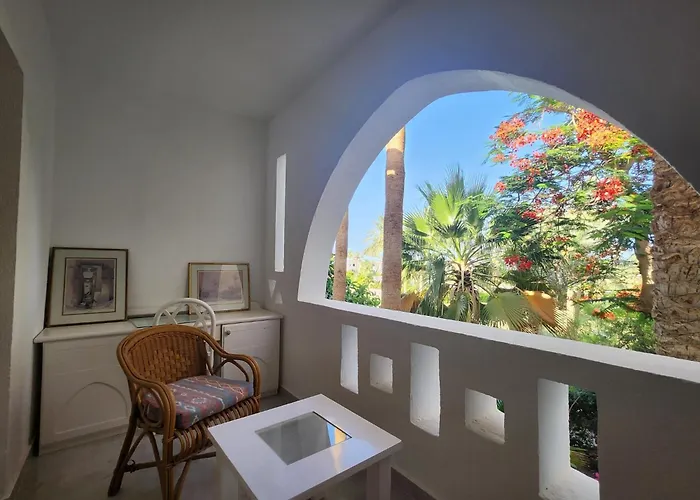 Red Sea Oasis Luxury