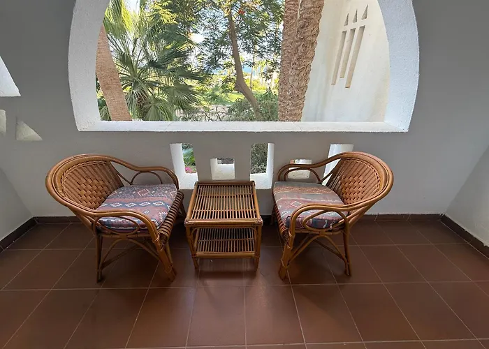 Resort Red Sea Oasis Luxury